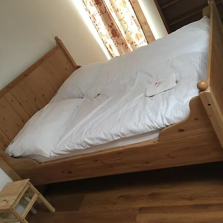 Guest house Platan