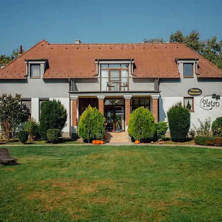 Platan Guest house *